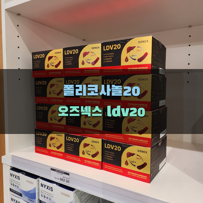 폴리코사놀20 오즈넥스 ldv20과 다른 보충제 비교