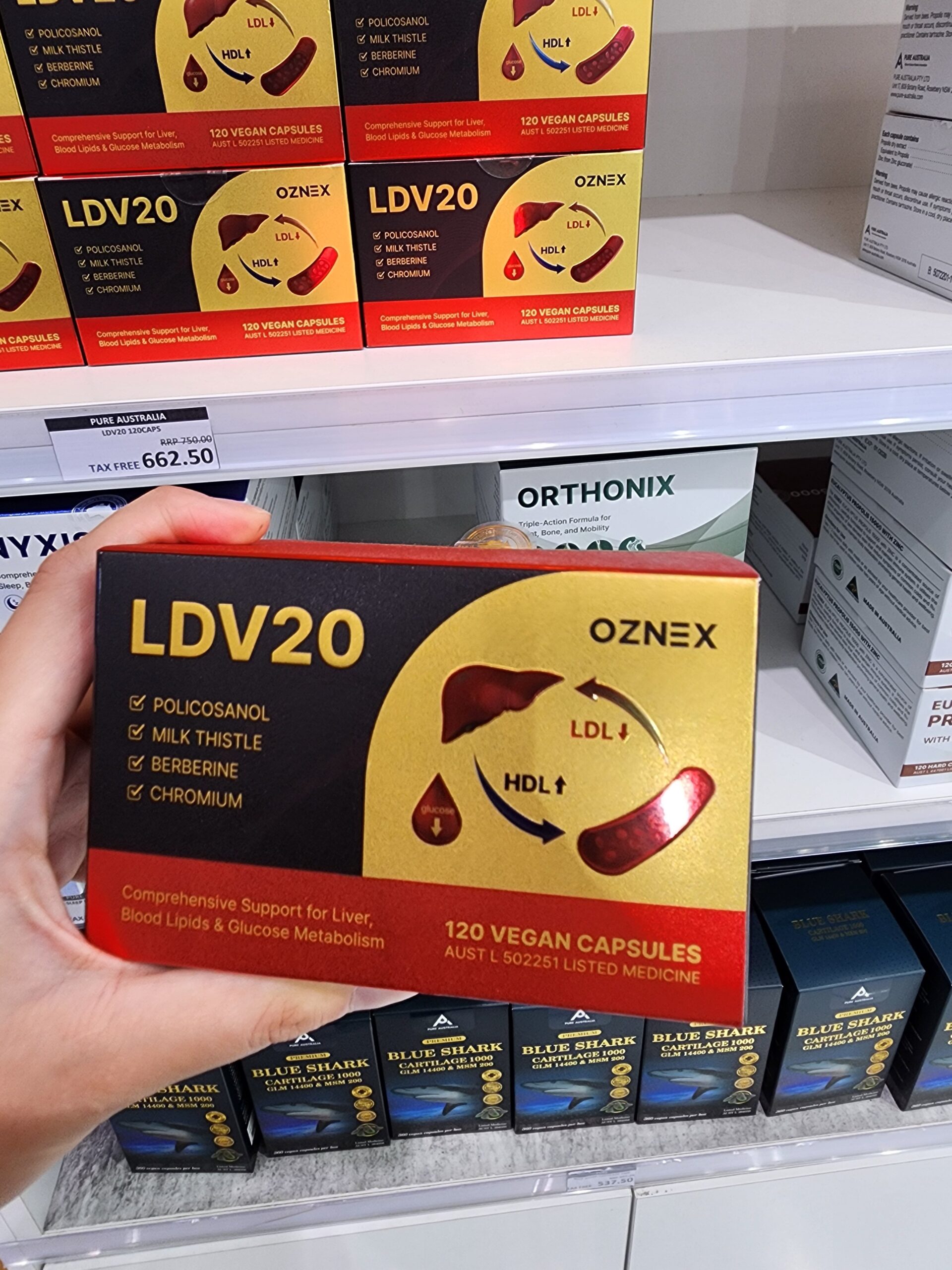 LDV20 부모님 선물